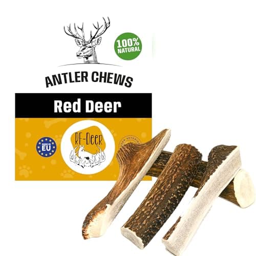 RF - Deer Bois de Cerf élaphe S (Lot de 5), Soft, 100% Naturel Bâtonnets Jouets à mâcher naturels pour Chien, Mâcher des os pour Le Plaisir et Les Soins dentaires, favorisant l'hygiène Dentaire