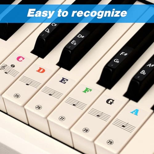 Amabro Autocollants imperméables pour clavier de piano de 37/49/54/61/88 touches - Lettres transparentes amovibles - Étiquettes réutilisables pour débutants (multicolore)