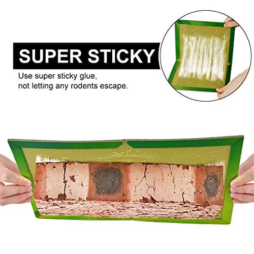 Piege a Souris Rat Colle Collant 22 Pièces Pièges à Souris Attrape Anti Souris Rat Glue Plaque Collante Piège Souris et à Rats Puissant Mouse Trap Mulot Exterieur Efficace Interieur