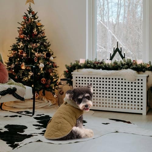 Queenmore Manteau Chien Petite Taille Manteau pour Chien Hiver Manteaux Chaud Imperméables pour Chiens Polaire Manteaux d'hiver pour Chiens Vetement Chien Chat Teckel Chihuahua, Vert, XS