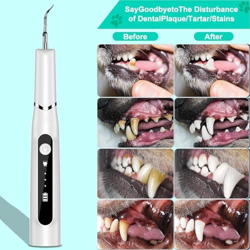 Brosses à Dents à Ultrasons pour Chiens et Chats, Kit de Nettoyage DesDents pour Chiens et Chats Dents Dents Nettoyeur Dedents Nettoyeur de DentsUltrasonique Brosse à Dents Kit