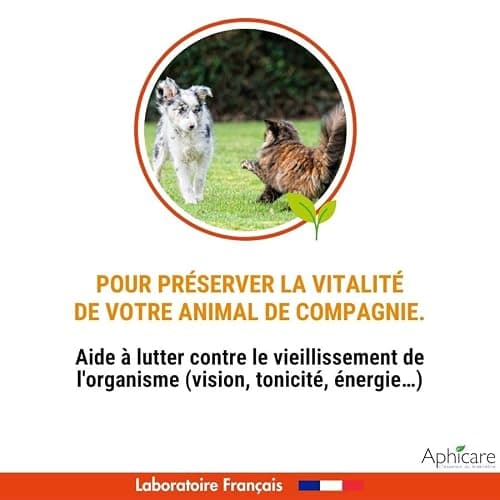 Aphicare - Vitalité - Complexe multivitaminés -Poudre 100 GR - Vitamines - Oligoéléments - Complément Alimentaire Chien et Chat - Fabriqué en France