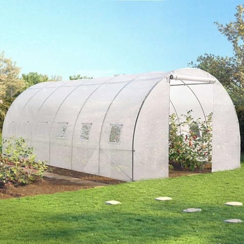 OSE Bâche pour Serre Tunnel Blanche Transparente 6 m2