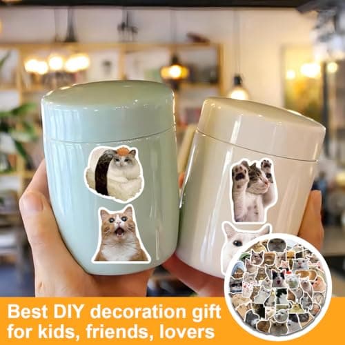 BHIPKOT Cat Meme autocollant pour ordinateur portable(100 PCS) cadeau pour enfants adolescents adultes garçons Meme Stickers vinyle imperméable pour scrapbook skateboard voiture bagages