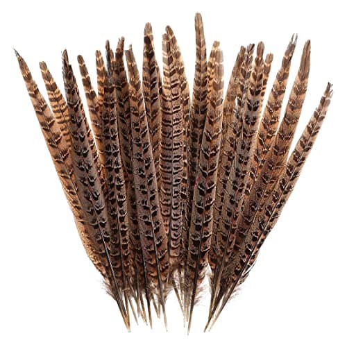 Zeayebsr 1 ensemble de 20 plumes de faisan pour l'artisanat et les décorations de chapeaux montrent les loisirs créatifs (25-30cm)