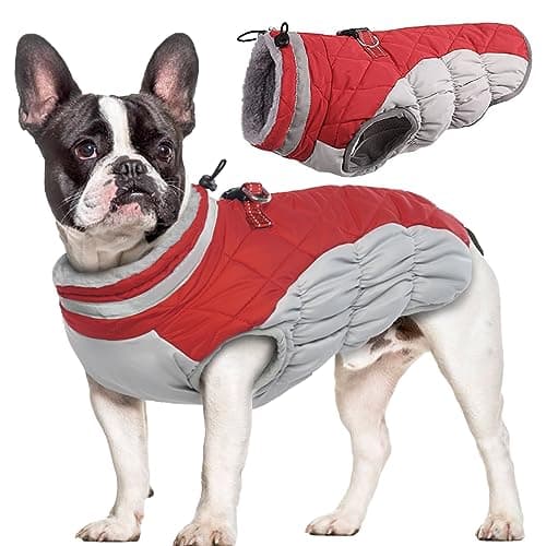 Hjumarayan Manteau Chien - Manteau Chien avec Harnais Réfléchissant Manteaux d'hiver pour Chiens Manteau Chien Imperméable, Manteau Chien Petite Taille Manteau Bouledogue Francais - Rouge M
