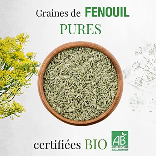 ORIGEENS INFUSION GRAINES DE FENOUIL BIO 200g | Tisane allaitement bébé, lactation et digestion difficile | Graine de Fenouil Bio pour thé en vrac