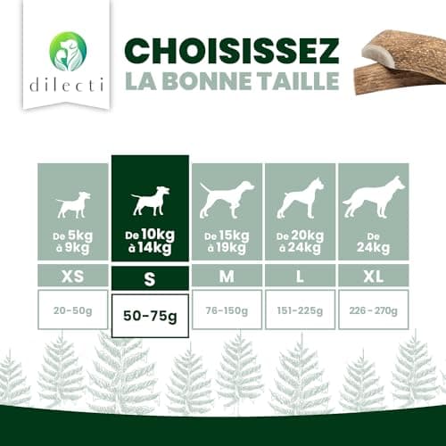 Bois de Cerf pour Chiens - Bois de Cerf pour Chiens Fabriqués à Partir de Bois de Cerf Rouge Naturel et Sélectionné avec Soin, Riche en Protéines et en Minéraux.- S (50-75g), Paquet de 3