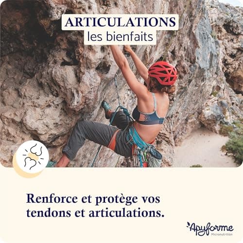 Apyforme - Articulations - Anti Douleurs et Confort Articulaire - Glucosamine Chondroitine MSM, Boswellia Serrata, Harpagophytum - 60 Gél - Fabriqué en France