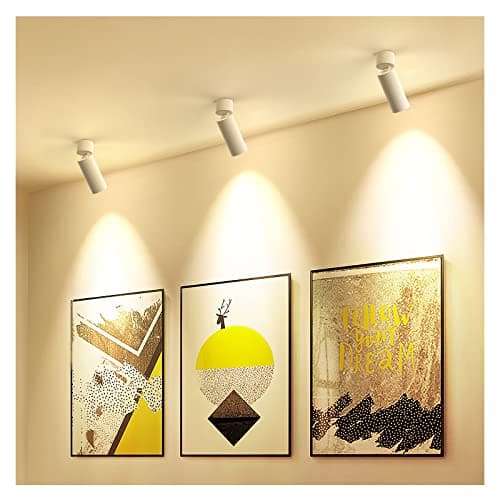 ESOP Spots De Plafond Angle Réglable 350°/90°, Plafonnier LED Spot 5W 500LM 3000K CRI>90 Applique De Plafond, Luminaire Plafonnier Spot LED Pour Salon, Couloir, Hôtels, Restaurants (Blanc)