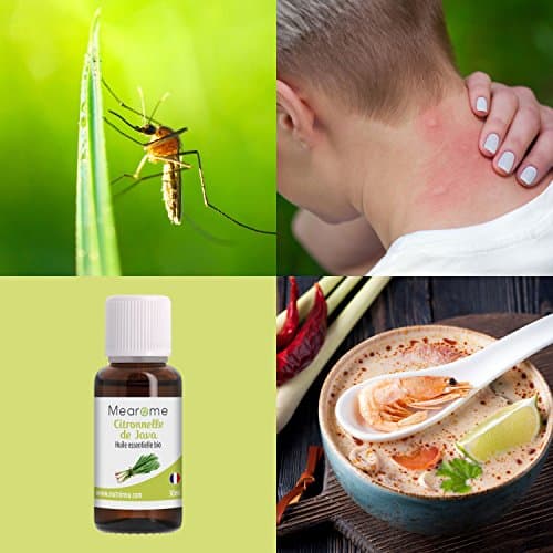 Huile Essentielle de CITRONNELLE de JAVA BIO - Cymbopogon Winterianus - Distillée en FRANCE - Mearome - 30 ml - 100% Pure et Naturelle, HEBBD, HECT
