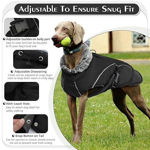 Manteau pour Chien Imperméable, Manteau de Chien Grande Veste Chaude Manteau Chihuahua Gilet Chauffant Chien Vêtement d'hiver Pull à Coupe-Vent pour Chiens(Noir, 2XL)
