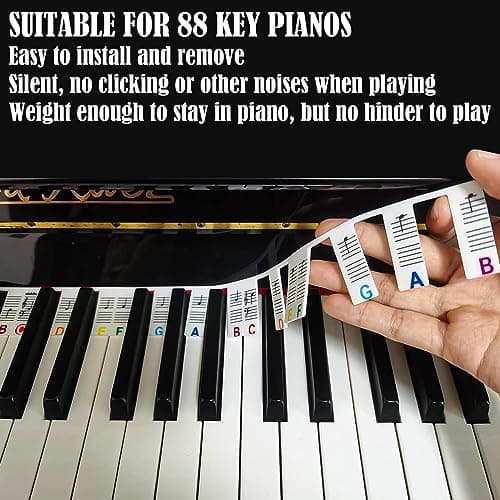 BDSHUNBF Étiquettes de Notes de Piano, Notes de Clavier de Piano Amovibles en Silicone, Autocollant Piano Convient Aux Pianos à 88 Touches, Aide Pour Les Débutants, Réutilisable, avec Boîte(Couleur)