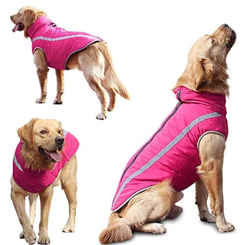 Idepet Manteau de Chien imperméable Veste Chaude d'hiver, vêtements pour Animaux de Compagnie Coupe-Vent Tenue de Veste de Chien pour Petits Chiens de Taille Moyenne avec Trou de Harnais XL-6XL