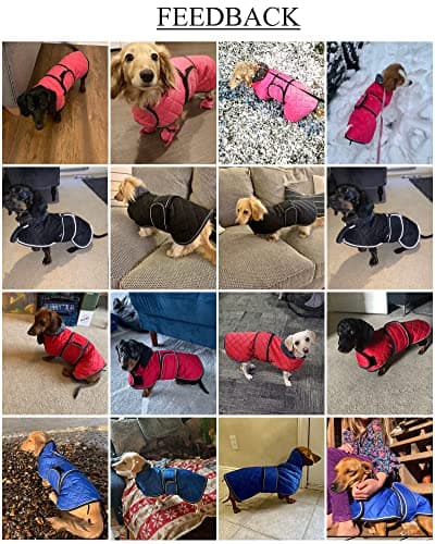 Geyecete-Manteau Chaud imperméable pour Teckel, Manteau d'hiver pour Chien avec Doublure en Polaire Chaude et Bandes réglables,l'hiver Veste pour Petit et Moyen Chien-Rose-S