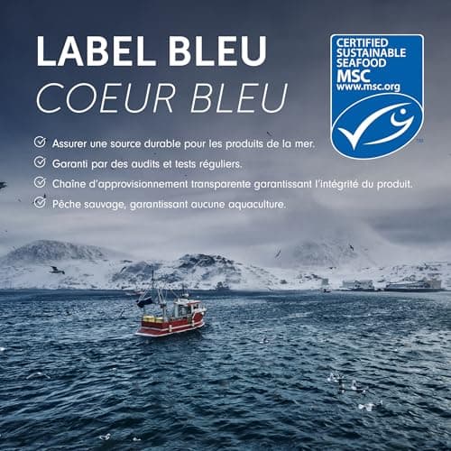 Seagarden Collagène marin en poudre pur (Type I et III) |Pour les articulations, les Os, les Muscles, la Peau | Pre Workout Booster Puissant | Non aromatisé |300g 2 mois (Sans saveur)