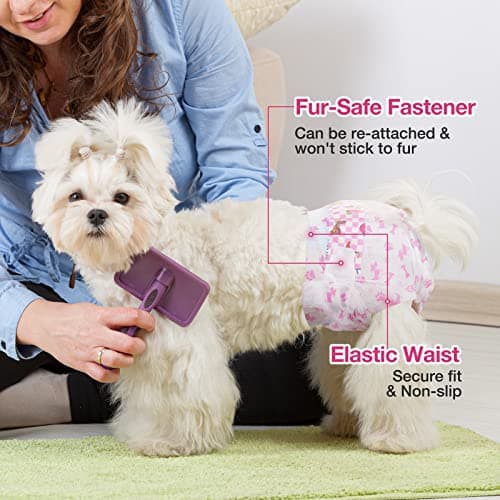 Dono Couches jetables pour Chiens Femelles, Couches Super absorbantes pour Chiens, Couches pour Chiots avec Technologie Gel Flash Dry, Couches pour Chats étanches pour Chiens en Chaleur, Incontinence