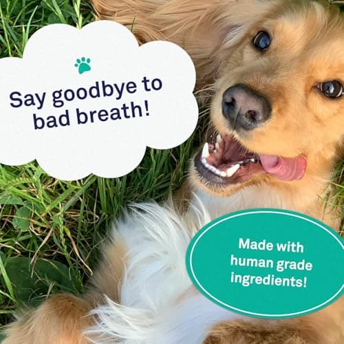 Petpost | Dentifrice pour Chiens - Gel Dentaire à Base d'huile de Coco et de Bicarbonate de soude pour éliminer naturellement la Mauvaise haleine - Dites Adieu à la Plaque et aux Caries - Goût Menthe