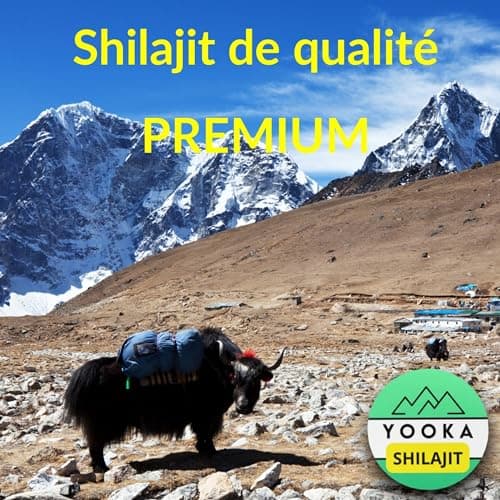 YOOKA Shilajit 60 unités naturel ARTISANAL OR pure. 70% ACIDE FULVIQUE, test en laboratoire garantissant +85 minéraux, 12% acide humique. Séchage soleil 60j, purifiée 40 fois. Société française.