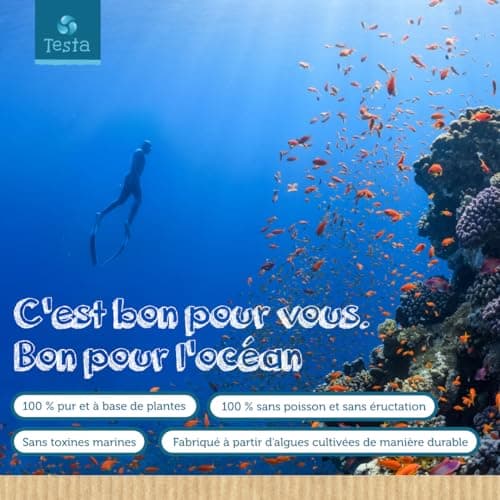 Omega 3 Vegan - Huile d'Algue haute concentration - 325mg DHA + 150mg EPA par capsule - Bénéfique pour le Cœur, le Cerveau et les Yeux - 100% Végétal - 60 capsules (2 Mois)