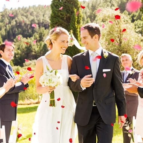 Lafefe 1200 Pétales de Rose Artificiels, Pétales de Rose Jetables pour Mariage, Pétales de Fleurs Séchées pour Mariage, Saint Valentin, Ambiance Romantique- Rouge, Rose