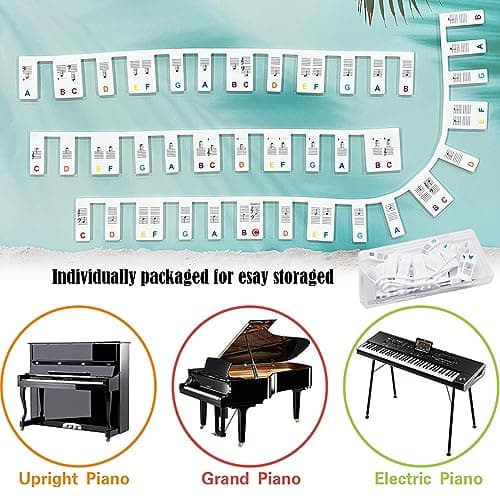 BDSHUNBF Étiquettes de Notes de Piano, Notes de Clavier de Piano Amovibles en Silicone, Autocollant Piano Convient Aux Pianos à 88 Touches, Aide Pour Les Débutants, Réutilisable, avec Boîte(Couleur)