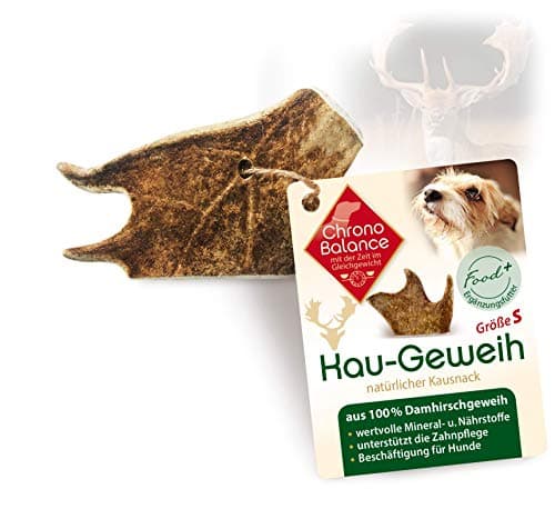 ChronoBalance® S (Lot de 1) à mâcher pour Chien : 100% Bois de cerf, Jouet à mâcher, bâton Dentaire Naturel pour Le Soin des Dents, Riche en minéraux et nutriments