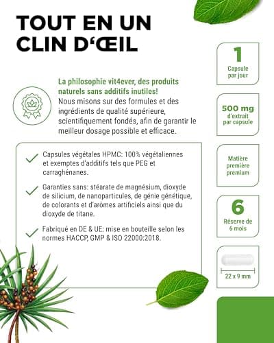 Extrait de palmier nain - 180 capsules avec 500 mg d'extrait réel - Premium : 5% de phytostérols = 25 mg - Extrait de palmier nain à haute dose - Vegan