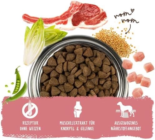 bosch HPC Adult avec de l'agneau & Riz| Aliments secs pour chiens adultes de toutes races - 1 x 3 kg