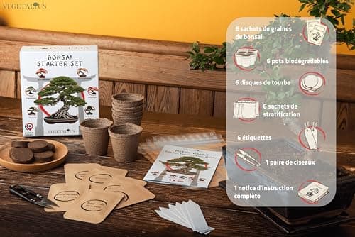 VEGETALIUS - Kit complet de 6 Bonsai avec graines & accessoires - Fabriqué en France - Idée coffret cadeau original pour femme & homme pour votre intérieur ou jardin