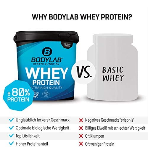 Bodylab24 Whey Protein Powder Noix de coco 1kg, pour des muscles plus forts, protéine de lactosérum peut favoriser la construction musculaire, avec 80% de protéines, sans aspartame