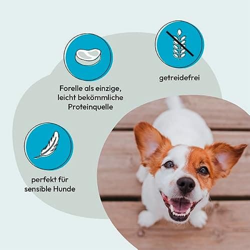GRAU L’original Croquettes Pour Chiens, Truite Avec Pommes De Terre, (1 x 12 kg), Sans Céréales, Pour Chiens Adultes Sensibles