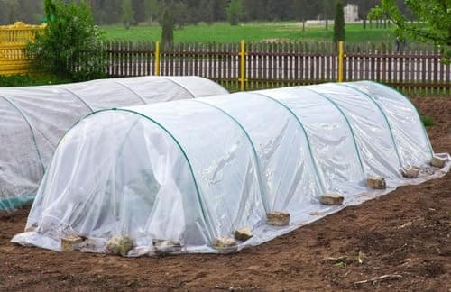 MAILEKT Bache pour Serre,Bache Plastique Transparente, Bache Serre Tunnel 3m x 3m, Film Polyéthylène de Extra-épais Clair Jardin Grandir Couverture De Polytunnel pour Légumes und Tomate
