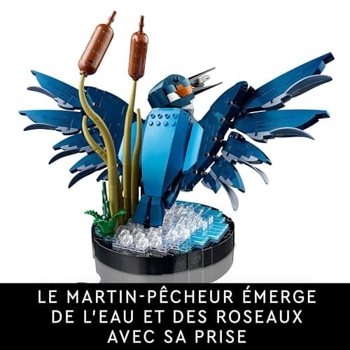 LEGO Icons Le Martin-pêcheur, Modélisme Maquette Adultes pour Les Amoureux de la Nature - Loisir Créatif pour Hommes et Femmes - Idée Cadeau pour Décoration de la Maison ou du Bureau 10331