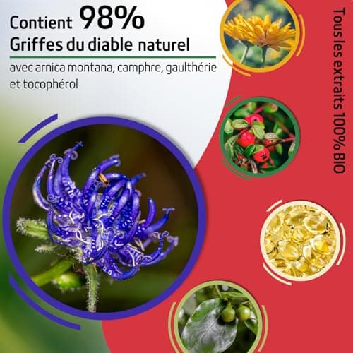 550 ml Griffe du Diable Pommade Chauffante Musculaire - Harpagophytum, Arnica, Camphre, Gel Massage et Relaxation - Crème Forte pour Douleurs Musculaires et Articulaires