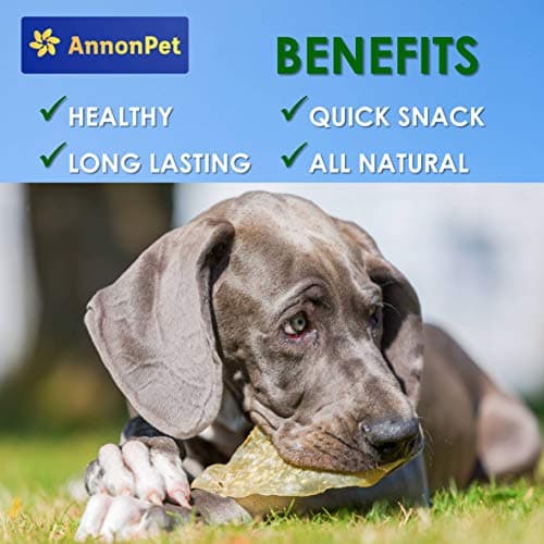 AnnonPet® Pattes de Poule séchées. Snack pour Chiens sans Gluten, idéal comme Prime et pour la Formation du Chien. Viande sèche Maxi Format 500 grammes
