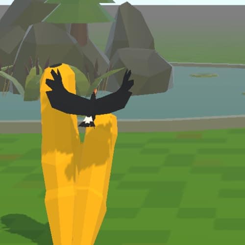 Tucan Fly