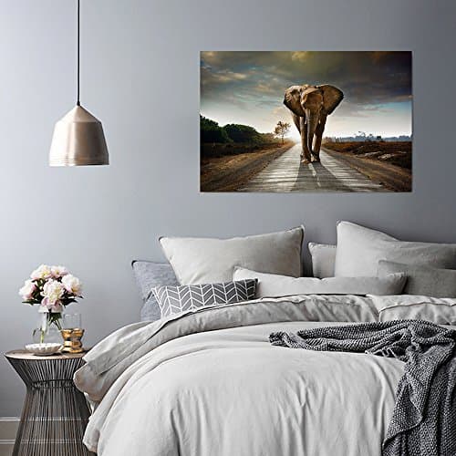 Feeby Impression Sur Toile Éléphant Brun 60x40 cm Tableaux Tableau Mural Image Moderne Photo Décoration Murale Artistique Photographie Design Chambre Salon Cuisine Gris Vert