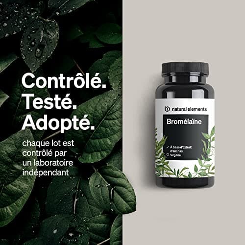 Bromélaïne – 400 mg (2 000 FIP) – 90 gélules gastrorésistantes de Bromelaine – extrait naturel d’ananas – produit contrôlé en laboratoire, hautement dosé et fabriqué en Allemagne