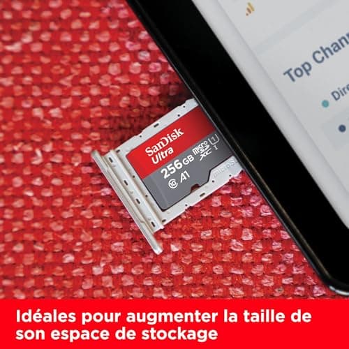 SanDisk Ultra microSD with SD Adapter - 256GB