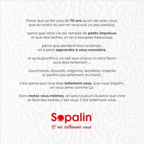 Sopalin Love – x3 Rouleaux – Triple épaisseur – Décors originaux – Emballage 80% plastique recyclé – Papier certifié FSC® Mixte (C017535)