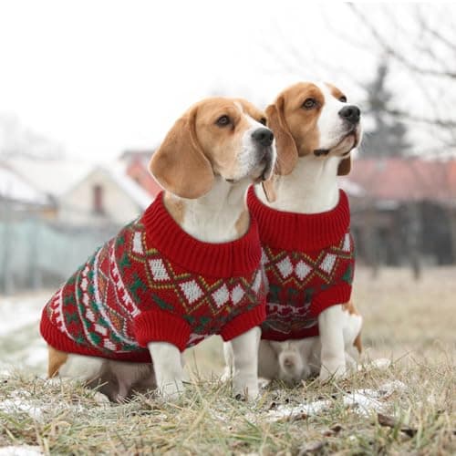 Hjumarayan Pull Chien - Pull Chihuahua Chaud Pull pour Chien Petite Taille Pull Noel Chien Sweat Chien Col Rond, Pull Chien Stretch Petite Taille Pull-Overs pour Chiens (Rouge-Vert S)