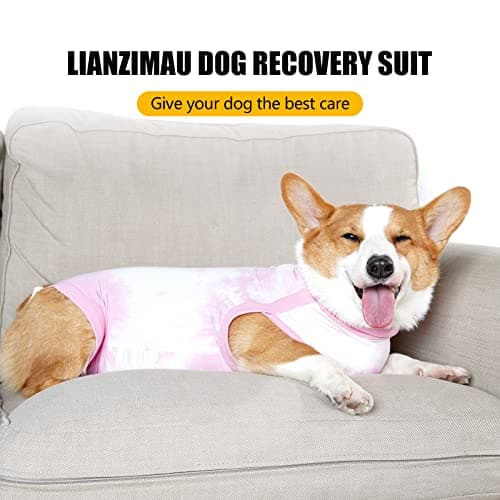 LIANZIMAU Combinaison de Recuperation Chien Body Chien Post Operatoire Femelle Body Medical Chien Body Chien Post Operatoire Male Castration Alternatives Collerettes pour Chiens