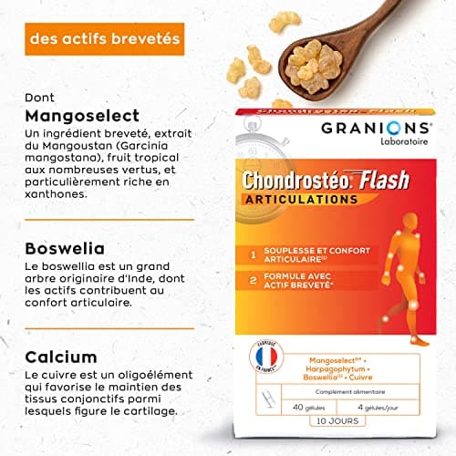 GRANIONS Chondrostéo+ Flash Articulations - 40 Gélules = 10 Jours - Mangoselect (Garcinia Mangostana), Boswellia, Harpagophytum - Confort Articulaire - Laboratoire des Granions - Marque Française