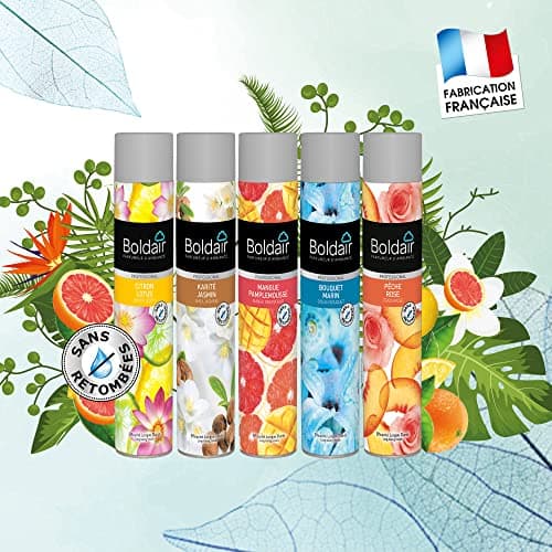 BOLDAIR - Aérosol parfumant Karité jasmin - Elimine les mauvaises odeurs - Parfume agréablement - Forte rémanence - Pulvérisation sèche - 750 ml - Fabrication française