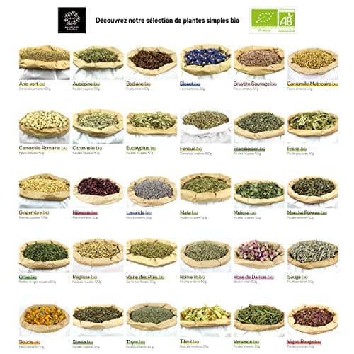 MY ORGANIC INFUSION - Badiane Bio (Anis Étoilé) En Fruits Entiers - Pour Tisanes Et Infusions - Pour Recettes Maisons - Sélection De Premier Choix - Illicium Verum - 50g