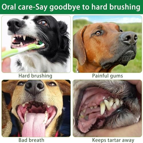 Sfasfnsd Spray de Soins bucco-dentaires pour Animaux de Compagnie,Soins Dentaires pour Chien,Nettoie la Bouche sans Brossage et Aide à Désodoriser la Bouche de Votre Animal,Une Haleine Fraîche