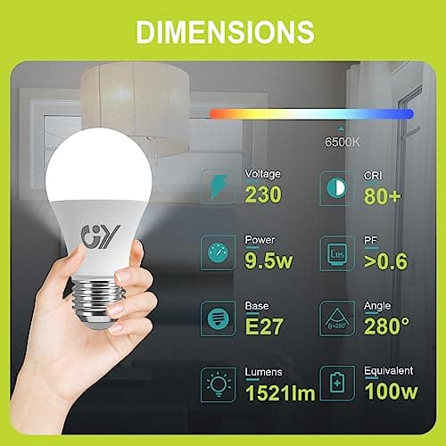 GY Ampoule LED E27 9.5W (équivalent 100W), 6500K Blanc Froid 1521 lumens, A60 Ampoules E27 LED Efficacité Energétique, Dépolie, Non-Dimmable, 6 Unité (Lot de 1)