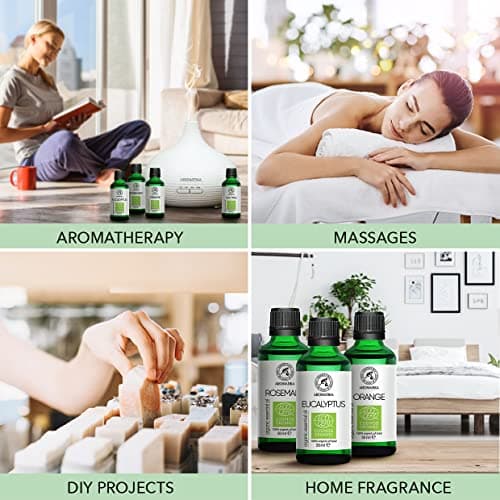 Huile d'Eucalyptus Bio 50 ml - Eucalyptus Globulus Organic - Huile Essentielle Bio - Huile d'Eucalyptus pour Diffuseur et Lampe Aroma - Huile de Sauna - Parfums d'Intérieur - Aromathérapie