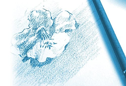Clairefontaine 196155AMZC - Lot de 2 - Pochette Dessin Scolaire - 12 Feuilles Papier Dessin Blanc à Grain - A4 21x29,7 cm 180g - Idéal pour les Arts Plastiques